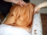 От 05.09 .2011г. започват курсове по масажи