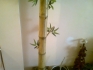 огромен бамбук