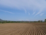 Купувам земеделски земи в община Пордим- Борислав, Вълчитрън, Згалево, Каменец, Катерица, Одърне, Пордим,...