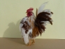 СЕРАМА - Най-дребната и кротка кокошка в света