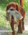 ЛОВни кучета Развъдник WWW.DOG-BG.NET продава от породите :: Хибрид- ВЪЛК +куче Лайка ,,, БлъдХаунд ,,, Ердейл Териер ,,, Лангхар ,,, Родезийски...