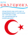 Индивидуално обучение по турски език