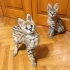 Предлагат се красиви котенца Serval и F1 Savannah  