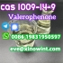  CAS 1009-14-9 Valerophenone 